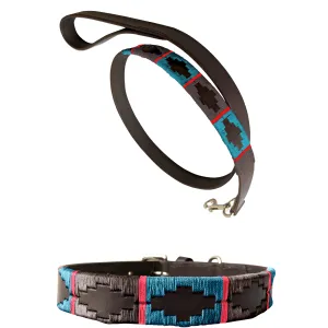 ALBARDÓN - Polo Dog Collar & Lead Set