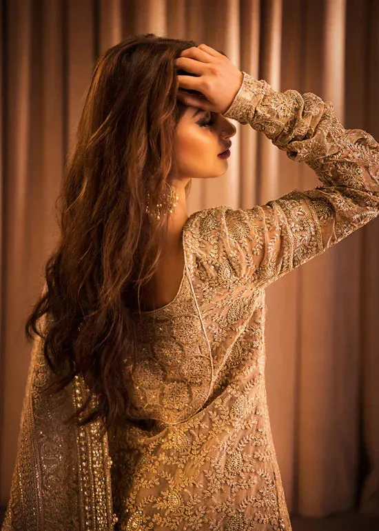HSY | Rehana Collection 2023 | Ulfat