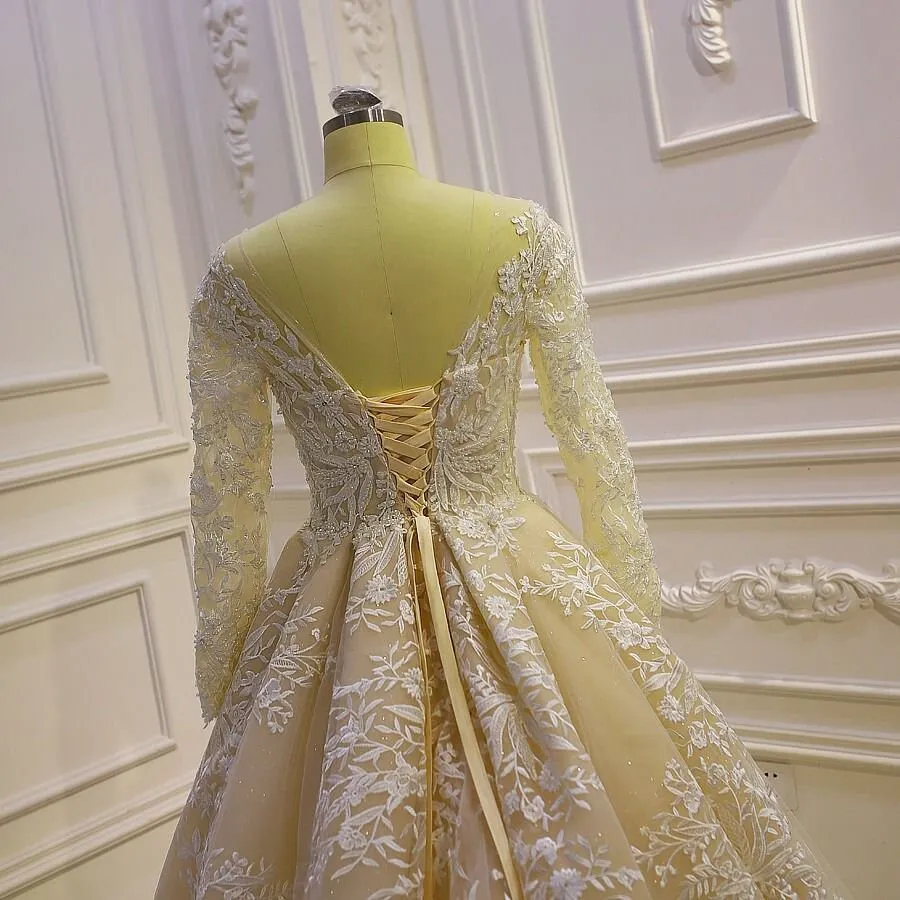 Long Sleeve Aline Wedding Dress Champagne Wedding Gown
