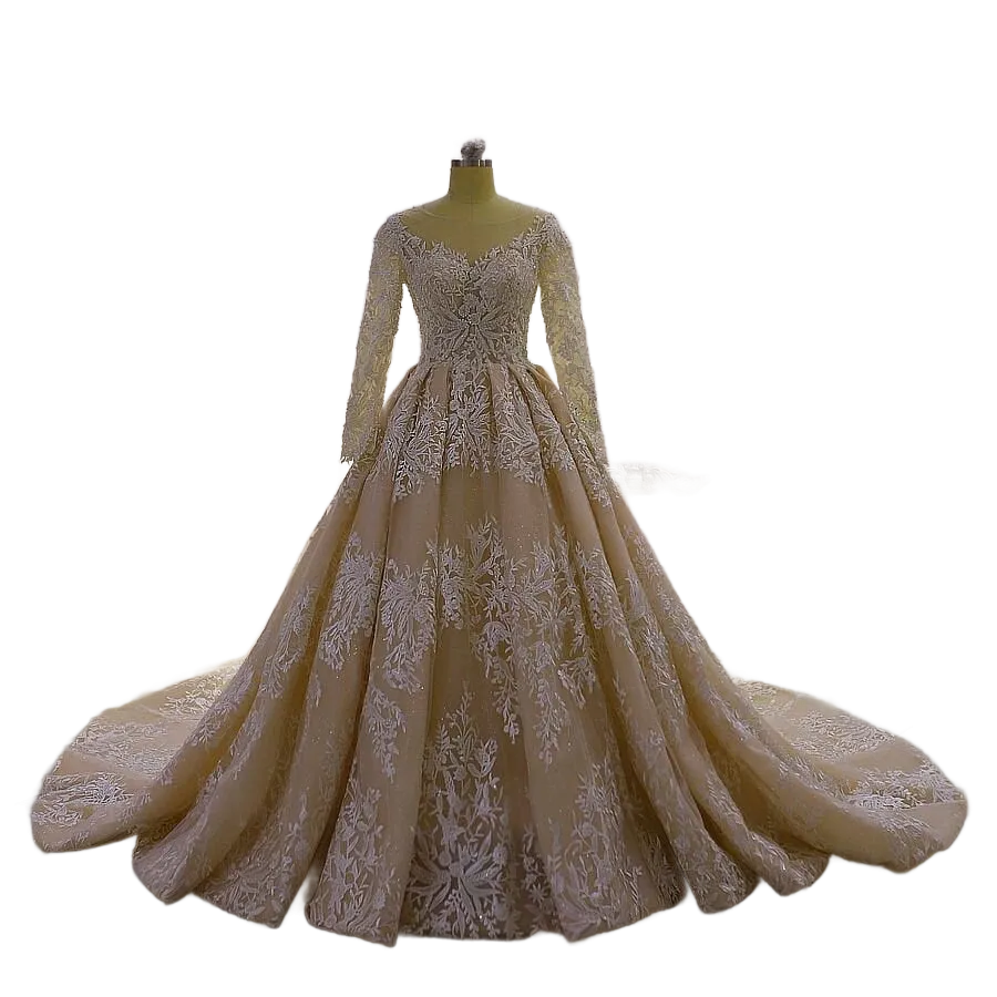 Long Sleeve Aline Wedding Dress Champagne Wedding Gown