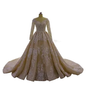 Long Sleeve Aline Wedding Dress Champagne Wedding Gown