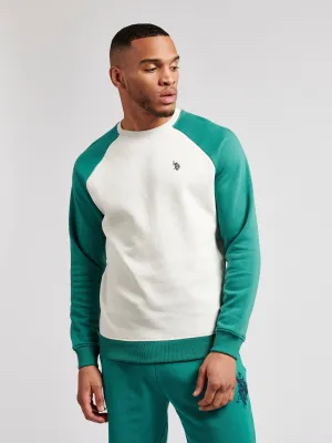Mens Colour Block Sweatshirt in Ivy