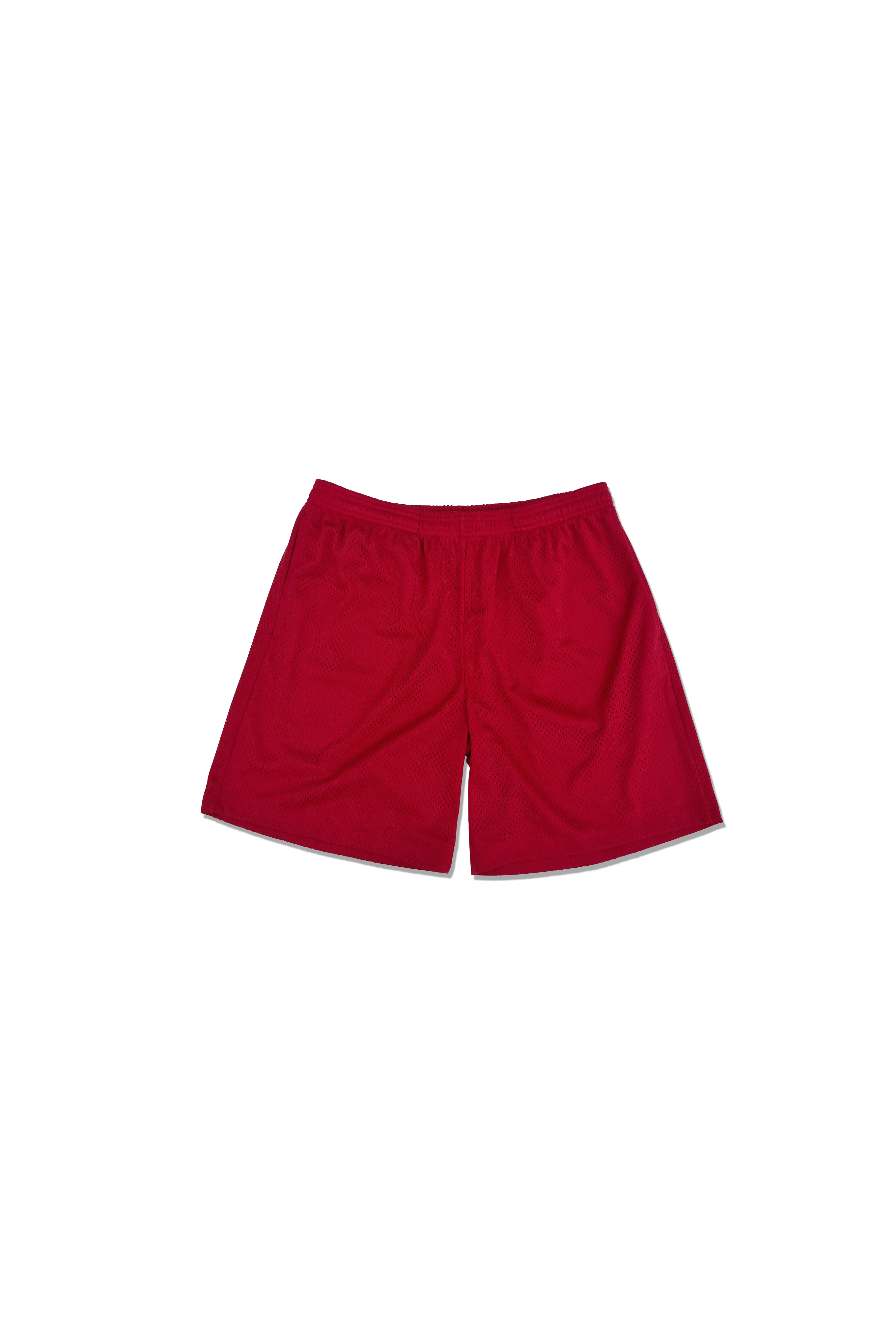Practice Mesh Shorts