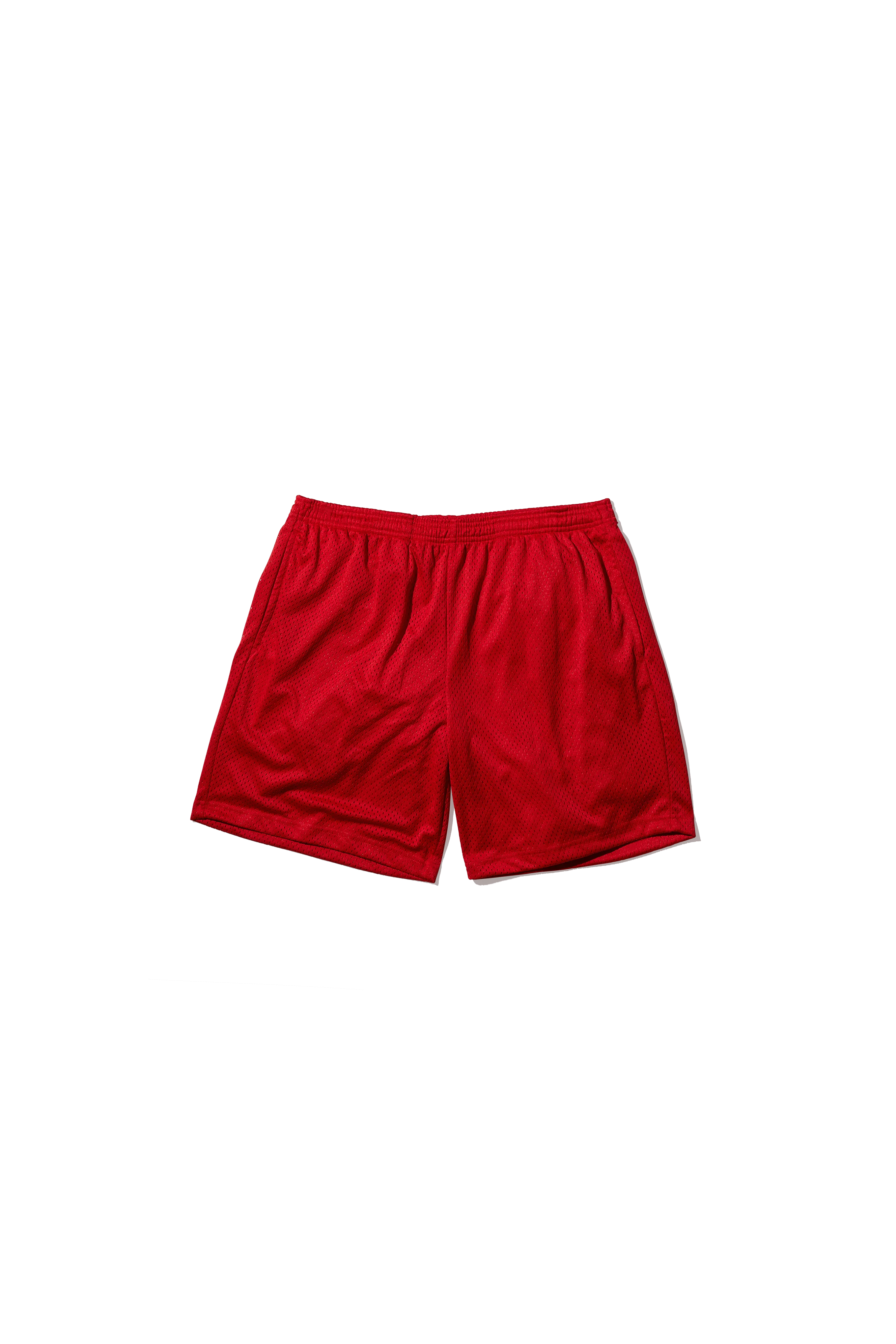 Practice Mesh Shorts