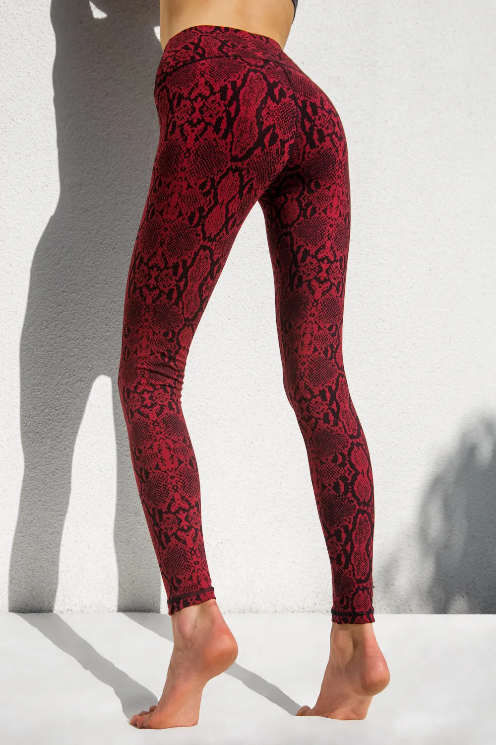 Snake Leggings - Red Snake