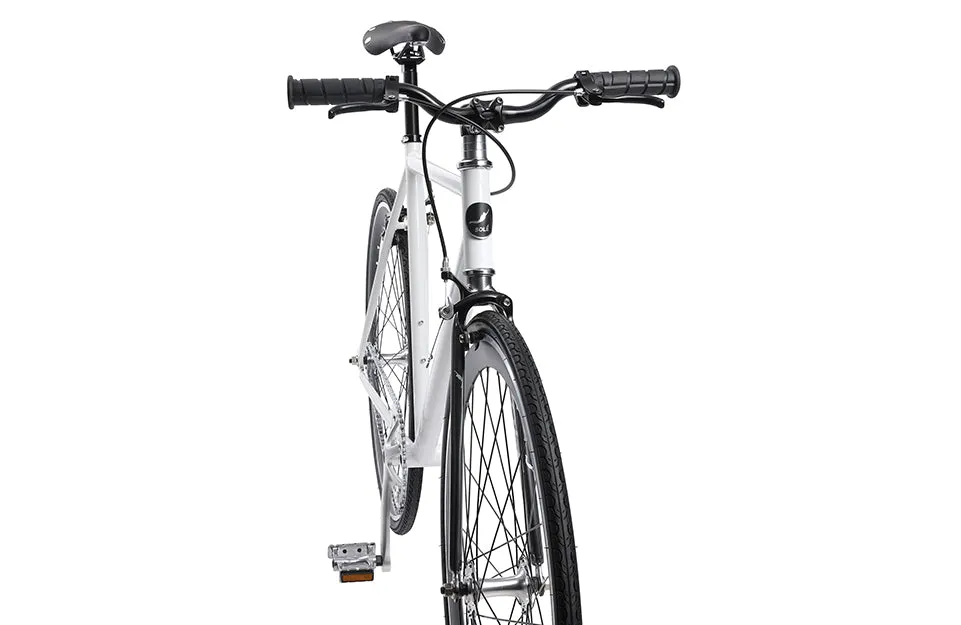 The Single Speed / Fixed Gear